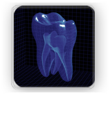 Endodontia